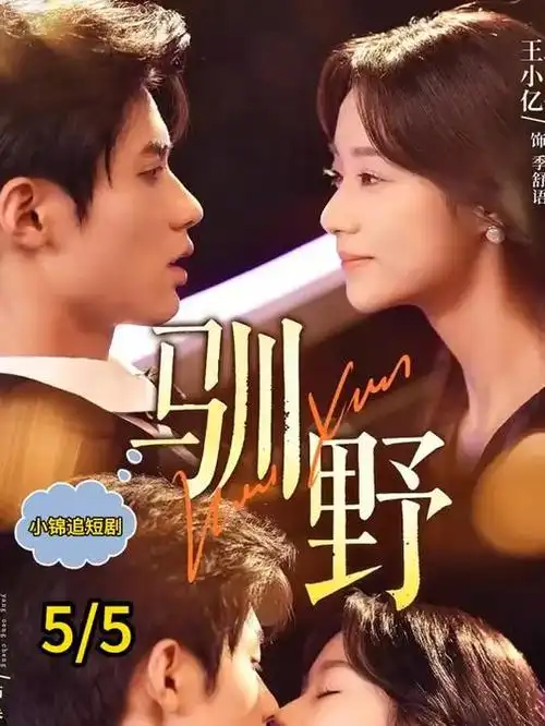 加拿大剧情剧集北境来信在线观看